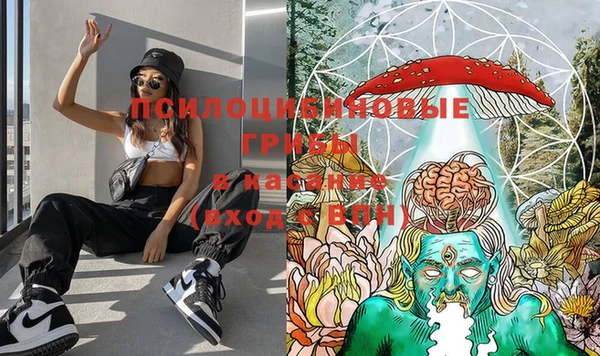 Альфа ПВП Алексин