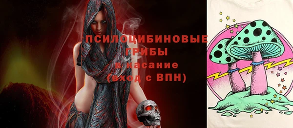 spice Алексеевка