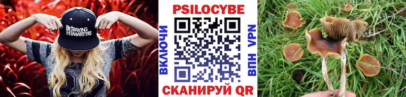 магазин продажи   Гвардейск  МЕГА зеркало  даркнет клад  Галлюциногенные грибы Magic Shrooms 